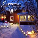 C9 Outdoor Christmas Pathway Lights - 51.4 Ft
