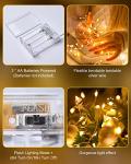 Battery Operated 60 LED Fairy String Lights