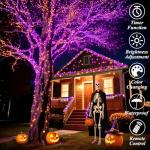 LitHome 66Ft Color Changing LED String Lights