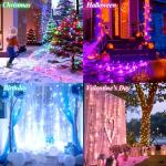 LitHome 66Ft Color Changing LED String Lights