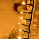 500 LED Warm White Christmas Cluster Lights