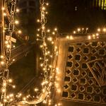500 LED Warm White Christmas Cluster Lights