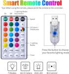 16 Color Changing Curtain Lights with Remote