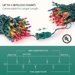 YOUNGAR 2 Pack 100 Count Mini Christmas Lights