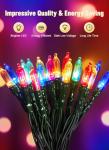 Multicolor Battery Operated Christmas String Lights