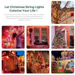 YOUNGAR 2 Pack 100 Count Mini Christmas Lights