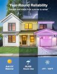 300ft Smart RGB Outdoor Christmas Lights Set