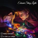 Echosari 100 LED Multicolor Fairy String Lights
