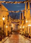 Brightown 10ft Battery Operated Christmas Cluster Lights