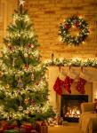 Battery Operated 10Ft 120 LED Fairy Lights