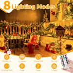 Ollny 1000LED Cluster Christmas Lights with Timer