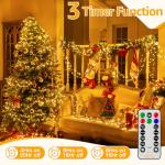 Ollny 1000LED Cluster Christmas Lights with Timer