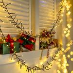 Ollny 1000LED Cluster Christmas Lights with Timer