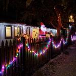 66ft LED Multicolor Christmas Mini String Lights