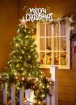 Brightown 100 LED Warm White Mini String Lights