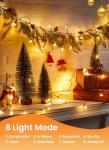 Brightown 100 LED Warm White Mini String Lights