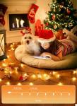 Brightown 100 LED Warm White Mini String Lights