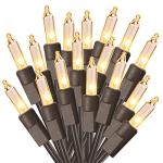 Clear Christmas String Lights - 100 Count, 21.63ft