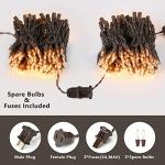 Clear Christmas String Lights - 100 Count, 21.63ft