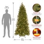 Pre-Lit Slim Douglas Fir Christmas Tree, 6 Feet