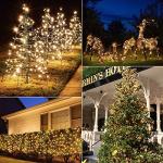 Battery Operated 50 LED Mini Christmas Lights