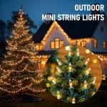 Warm White Outdoor Christmas String Lights, 20FT 100 Count