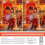 MZD8391 Color Changing Christmas String Lights Outdoor Indoor, 108FT 300 LED Warm White Multi Color Fairy Light, END to END CONNECTABLE, Waterproof Christmas Tree Lights with Timer Remote