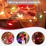 LAMPHOME 100 Multicolor Mini String Lights