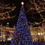 66ft LED Multicolor Christmas Mini String Lights