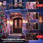 Color Changing 100 LED Christmas String Lights