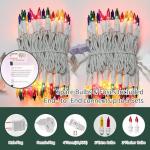 LAMPHOME 100 Multicolor Mini String Lights