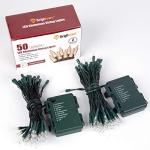 Battery Operated 50 LED Mini Christmas Lights