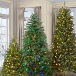 100FT Color Changing LED Christmas Lights with Remote