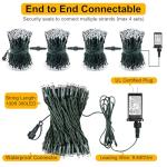 100FT 300 LED Warm White Christmas Lights