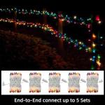 LAMPHOME 100 Multicolor Mini String Lights