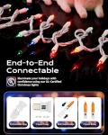 Brightown 100-Count Multicolor Mini Christmas Lights