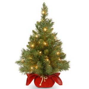2 ft Pre-lit Mini Christmas Tree with Lights