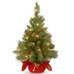 2 ft Pre-lit Mini Christmas Tree with Lights