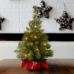 2 ft Pre-lit Mini Christmas Tree with Lights
