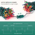 YOUNGAR 2 Pack 100 Count Mini Christmas Lights