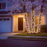 JinBest 100 LED Warm White Christmas Lights 35 FT