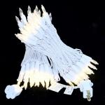 JinBest 100 LED Warm White Christmas Lights 35 FT