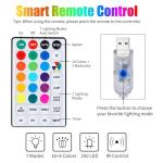 16 Color Changing Curtain Lights with Remote