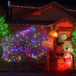 LAMPHOME 100 Multicolor Mini String Lights