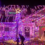200 LED Outdoor Christmas Lights, 66FT, 8 Modes