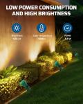 Outdoor LED Spotlight with 3 Lenses for Holidays