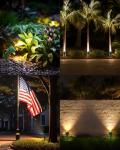 Outdoor LED Spotlight with 3 Lenses for Holidays