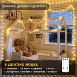 100 LED Warm White Globe String Lights with Remote