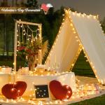 100 LED Warm White Globe String Lights with Remote