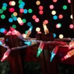 20FT Waterproof Easter String Lights - 100 Count